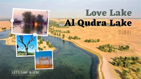 Love Lake Al Qudra Lake Dubai Youtube