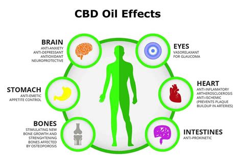 Potential Therapeutic Effects of Cannabidiol and How It Works ...