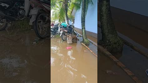 Banjir Kongsi Sopex Banjir Youtube