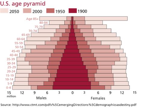 Solved Us Age Pyramid 2050 2000 1950 1900 Age 85 80 84