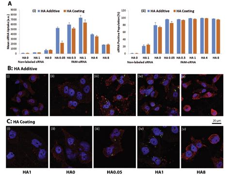 Cellular Uptake Of Sirnapolymer Complexes After 24 H Of Transfection