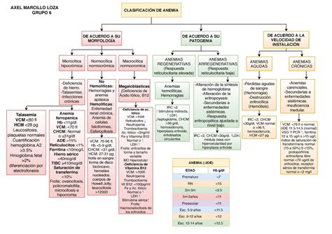 Tabla De Anemias Clasificacion Esquemas Y Mapas Conceptuales De Porn