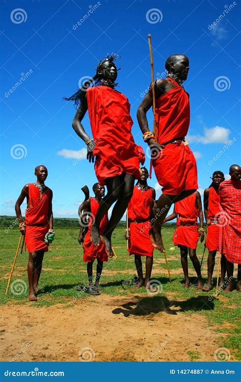 Masai Warrior Dancing Traditional Dance Editorial Photography Image