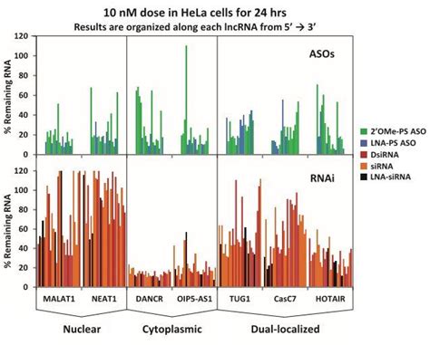 百曉生 Lncrna相關研究這麼多，這些策略你知道嗎？ 每日頭條