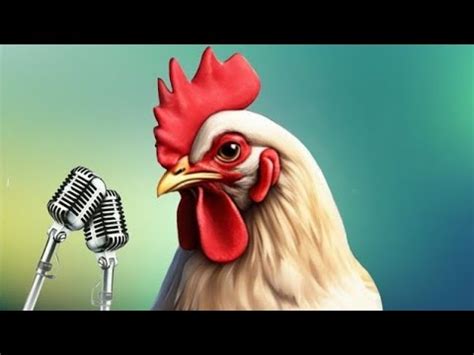 J Geco Chicken Song And Video 2024 YouTube