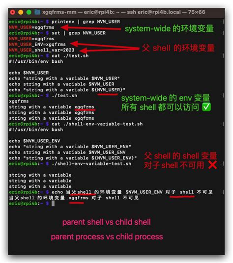 How To Print A String With A Variable By Using The Echo Command In The