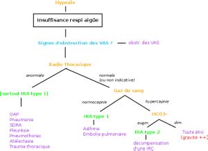 Insuffisance respiratoire aiguë MedG