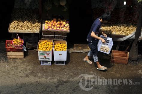 Larangan Impor Produk Hortikultura Foto Tribunnews