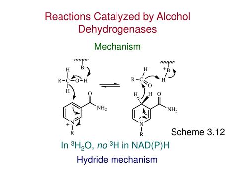 PPT The Organic Chemistry Of Enzyme Catalyzed Reactions Chapter 3