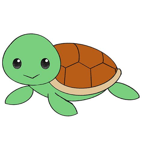 Easy Drawing Turtle – drawspaces.com