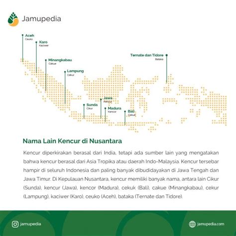 Hubungi Kami Jamupedia Jamupedia