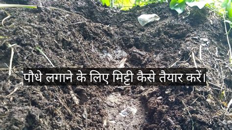 Paudhe Lagane Ke Liye Mitti Kaise Taiyar Karen Chandan Plants Nursery