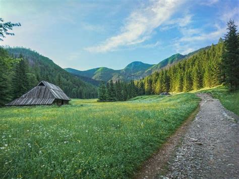 Gdzie warto się wybrać na wiosenny spacer w Polsce