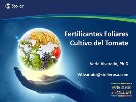 Pdf Fertilizantes Foliares Cultivo Del Tomate · • Suelos Que Limitan