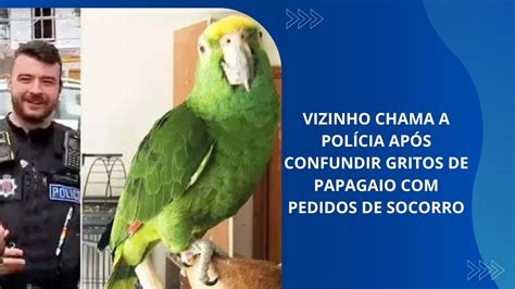 Vizinho Chama A Pol Cia Ap S Confundir Gritos De Papagaio Pedidos