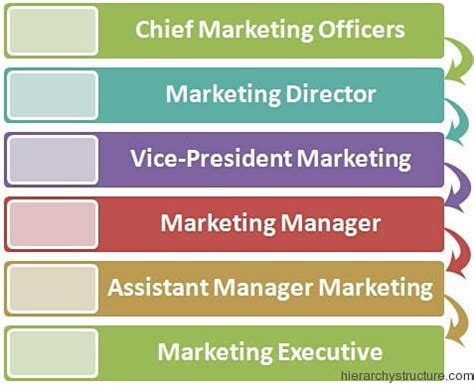 How to Hire the Right VP of Marketing for Your Company - Single Grain