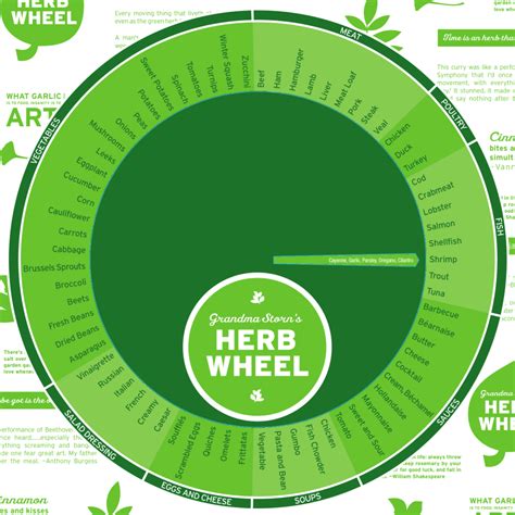 The Original Grandma Storns Herb Wheel The Perfect Kitchen Guide Tool