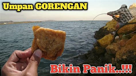 Umpan Gorengan Di Pakai Mancing Pinggir Laut92 Youtube