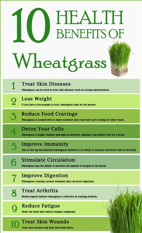 Pin On Wheat Grass Benefits