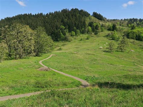 mount pisgah oregon northwest wildflowers