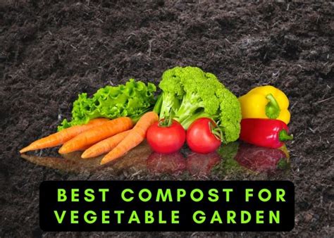 How Do I Choose The Best Compost For Vegetable Garden In