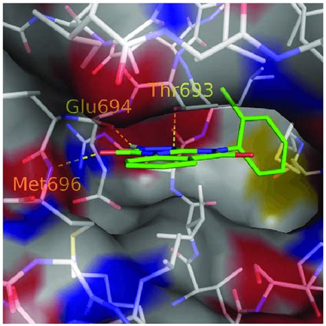 Binding Mode Of Compound 3 Carbon Atoms In Green Predicted By Download Scientific Diagram