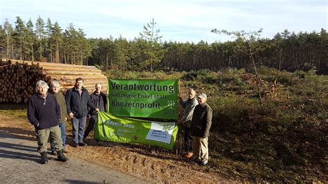 W Lder M Ssen Besser Vor Rodungen Gesch Tzt Werden Bund Naturschutz