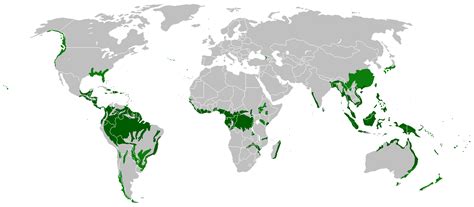 Tropical Rainforest Location And Climate