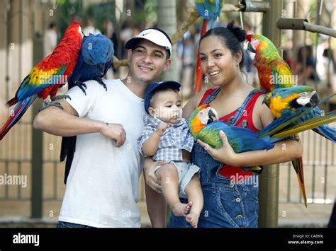 Parrot Jungle Island In Miami Features More Than Species