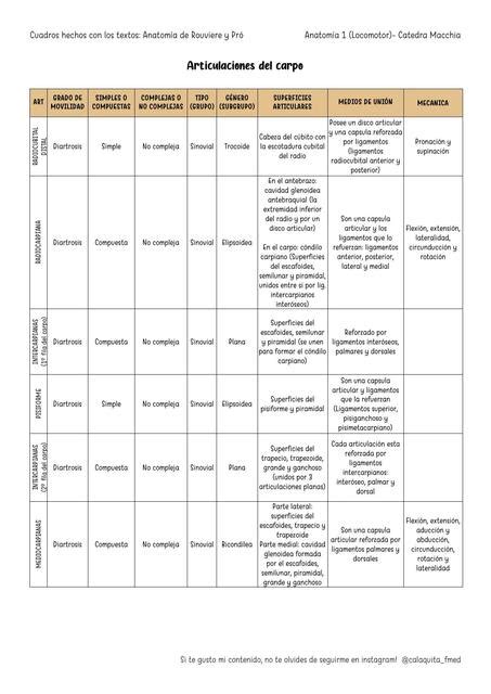 Articulaciones Del Carpo Calaquita Study UDocz