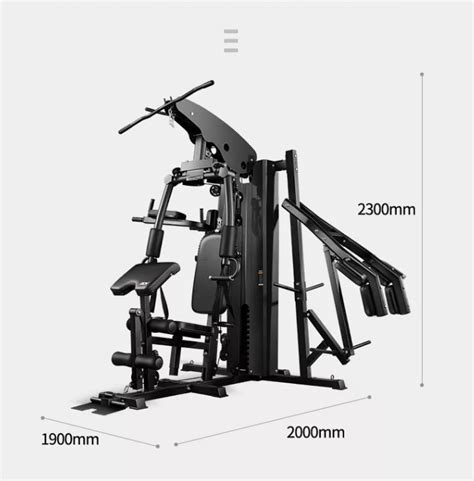 Z Xx Glute Drive Hip Thrust Machine Custom Gym Equipment