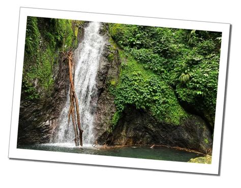 Your Ultimate Guide to the 7 Best Waterfalls in Grenada - Sue Where Why ...