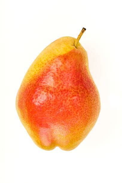 Best Forelle Pear Stock Photos, Pictures & Royalty-Free Images - iStock