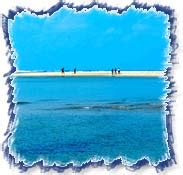 Rameshwaram Beach in India,Rameshwaram Beach in Tamilnadu,Beach of ...