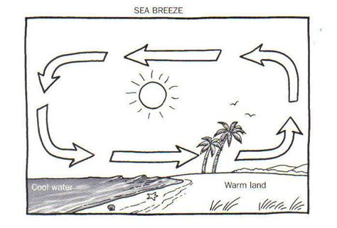 Sea Breeze Diagram Diagram | Quizlet