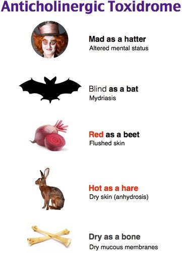 EM Toxicology Flashcards Quizlet