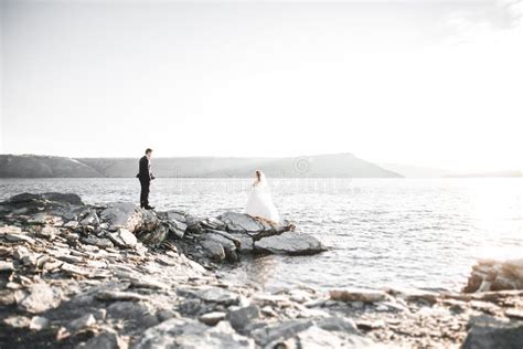 Pares Felizes Do Casamento Que Ficam Sobre A Paisagem Bonita Imagem De