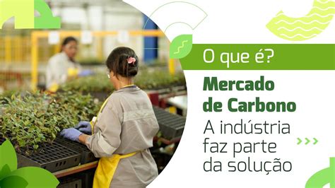 Mercado Regulado De Carbono O Que é Youtube