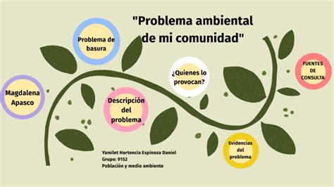 Problema Ambiental De Mi Comunidad By Yamilet Hortencia Espinoza