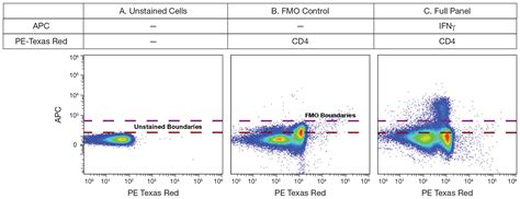 Spectral Flow Cytometry Panel Controls And Sample Preparation Thermo