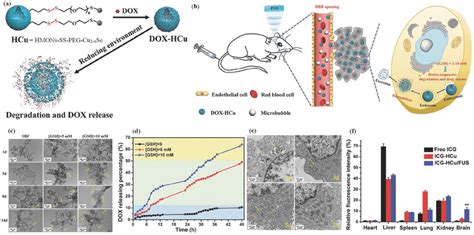 Schematic Illustration Of A Doxhcu Nanosystems And Gsh‐triggered