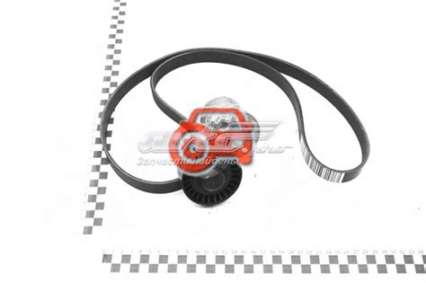117202506R Renault (RVI) ремень агрегатов приводной, комплект
