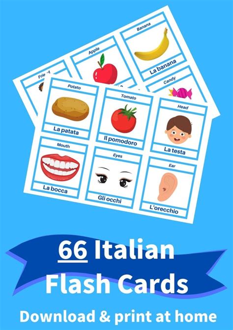 Printable Italian Flashcards First Words For Beginners Etsy