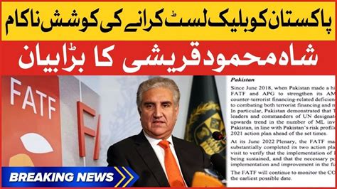 Shah Mahmood Qureshi Big Statement Attempt To Blacklist Pakistan Had