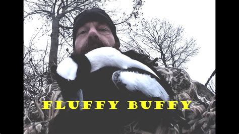 Lake Erie Diver Duck Hunt Anarchist Outdoors 1 Youtube