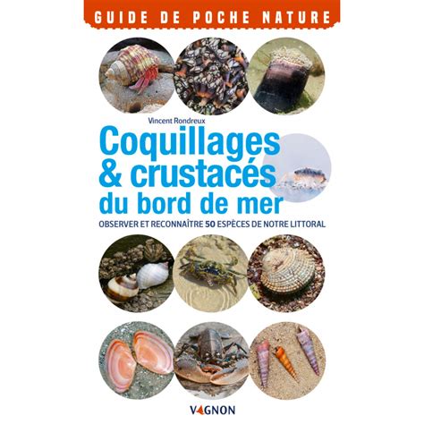 Coquillages Crustac S Comptoir De La Mer