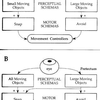 (PDF) Schema Theory