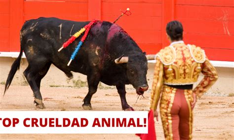 Todo Lo Que Debes Saber Sobre La Tauromaquia Origen Evoluci N Y