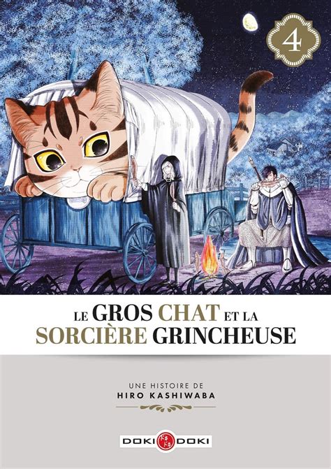 Le Gros Chat Et La Sorci Re Grincheuse Vol Librairie Eyrolles