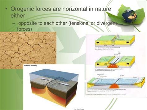 earth movements Endogenic forces